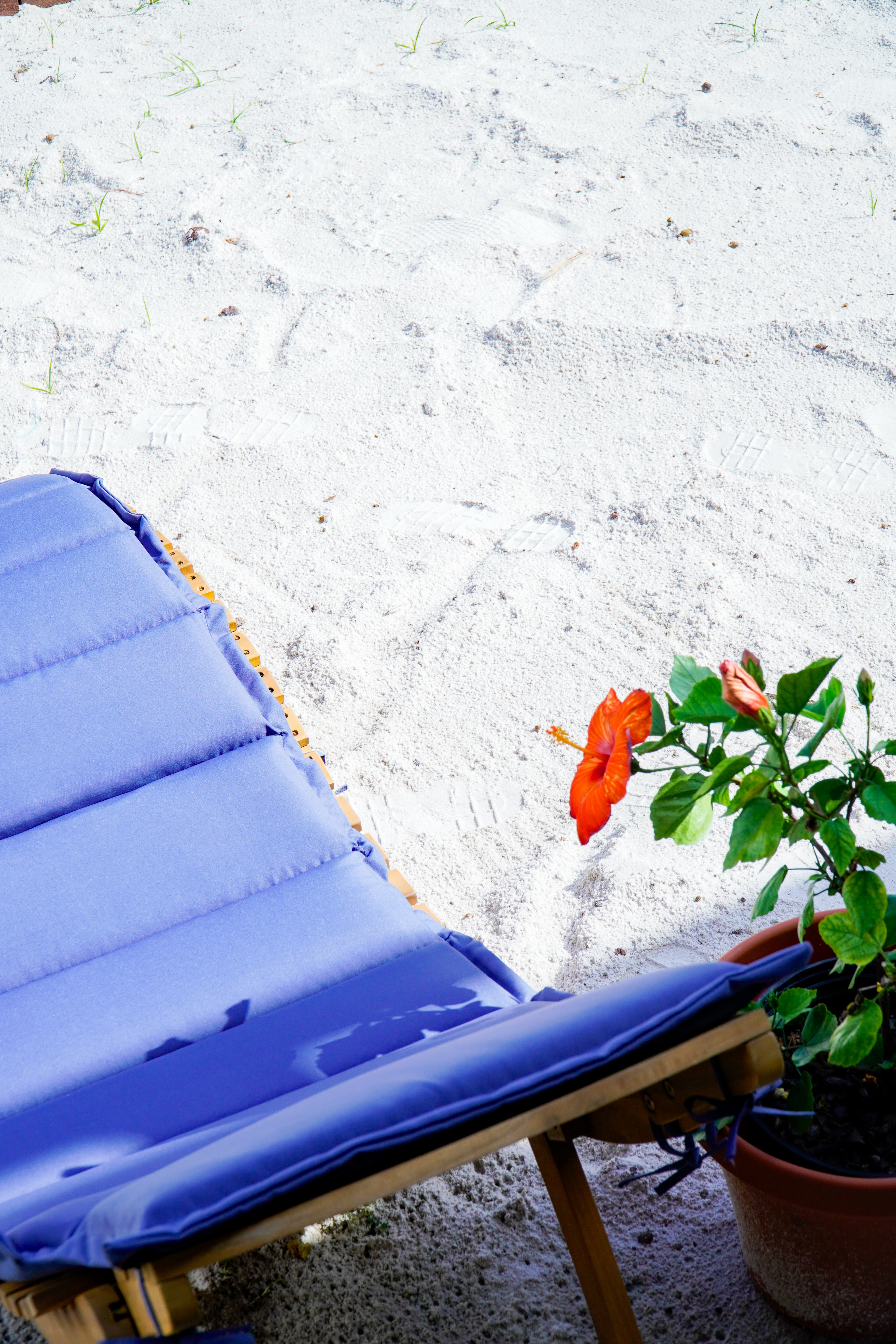 Found around the garden